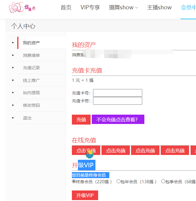 摄舞团