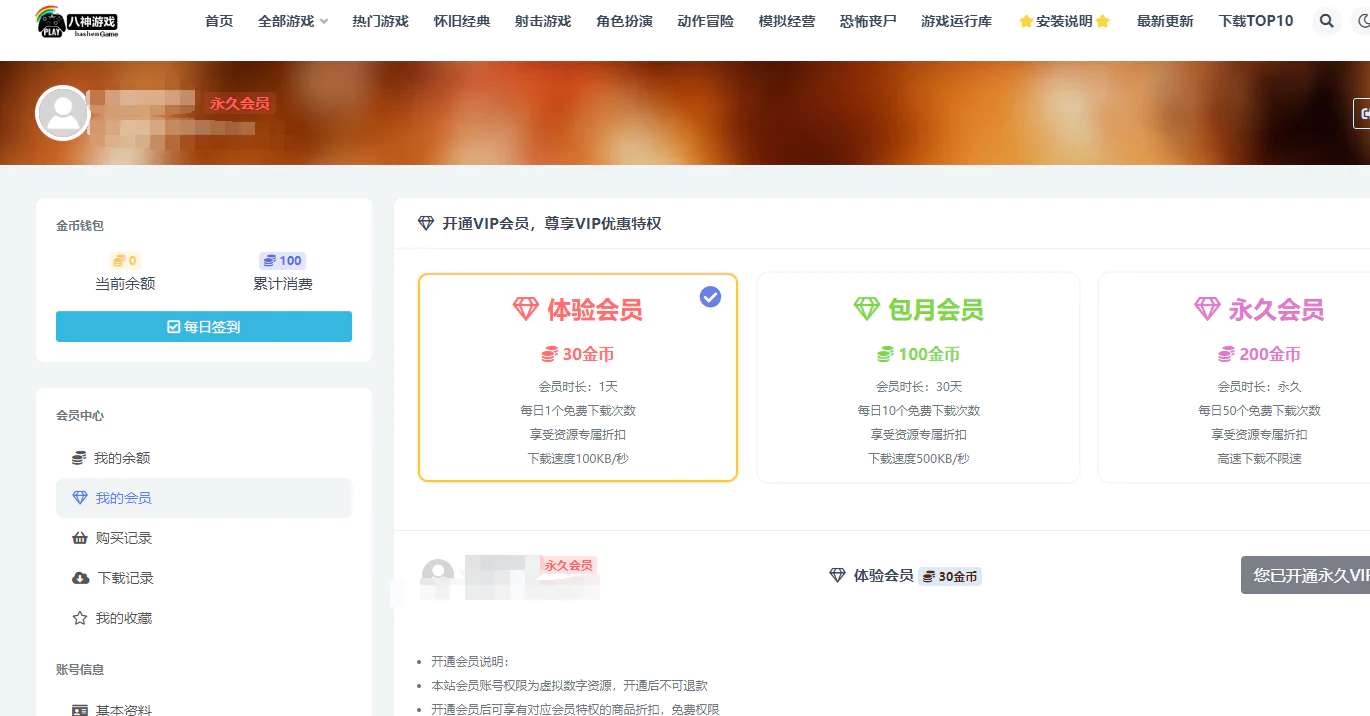 八神游戏