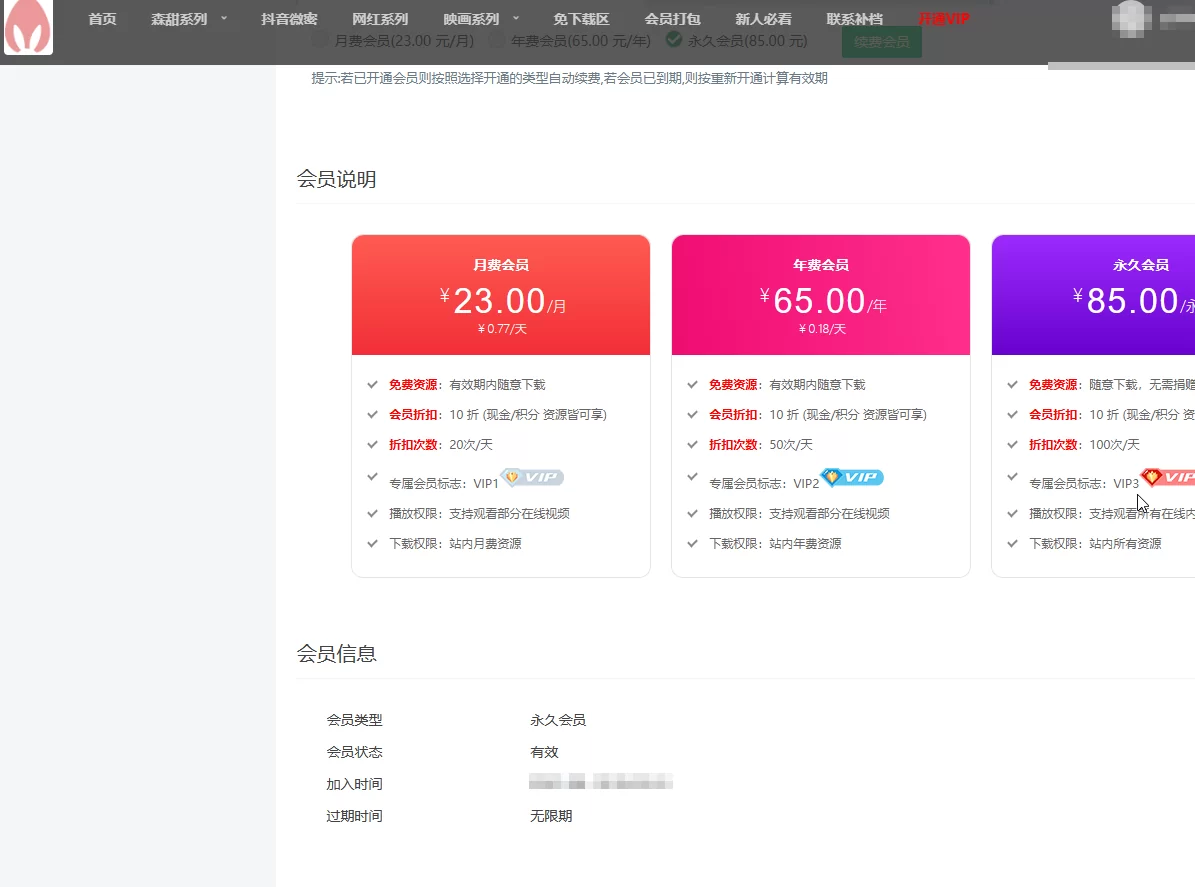 玩偶兔