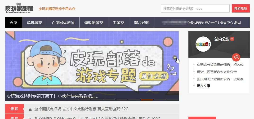 皮玩家