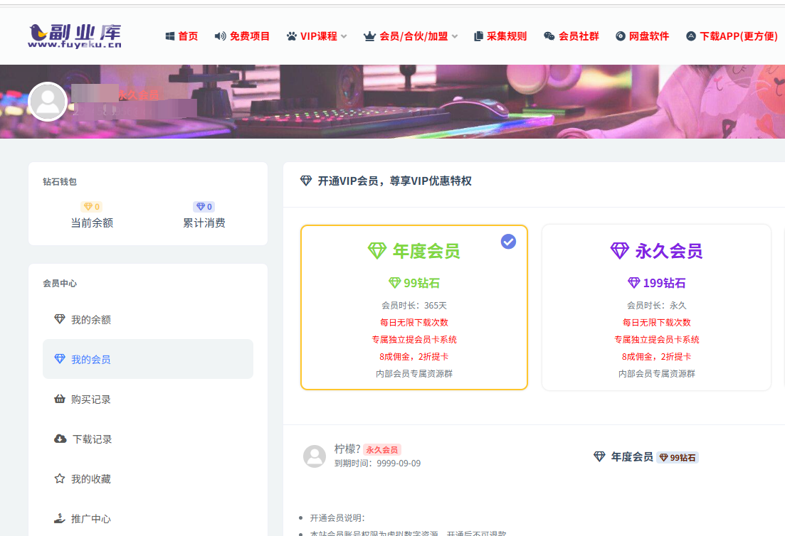 副业库